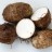 Taro root