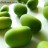 fresh lotus seeds