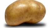 potato