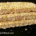 sesame brittle
